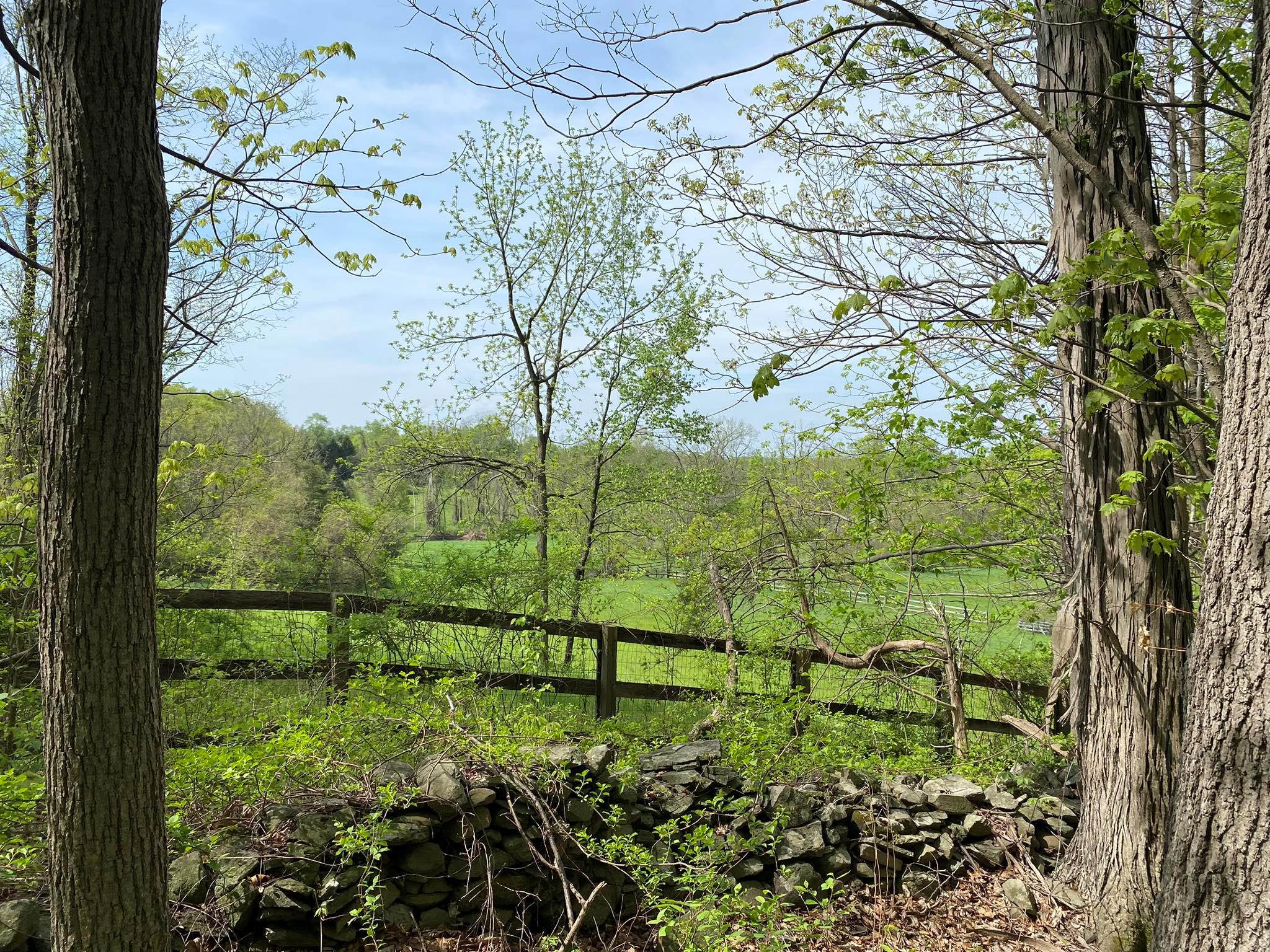 7080 Route 9, Rhinebeck, New York image 13