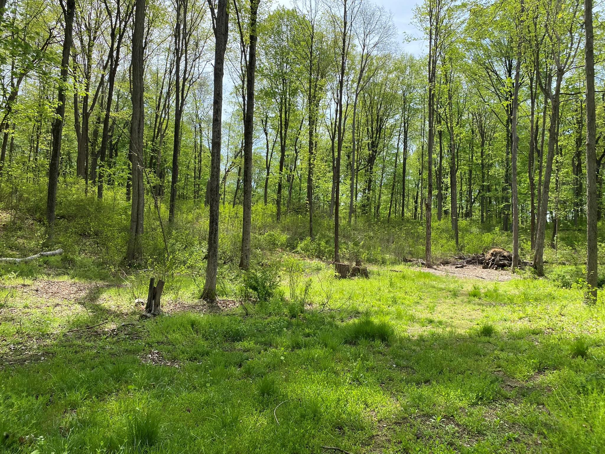 7080 Route 9, Rhinebeck, New York image 19