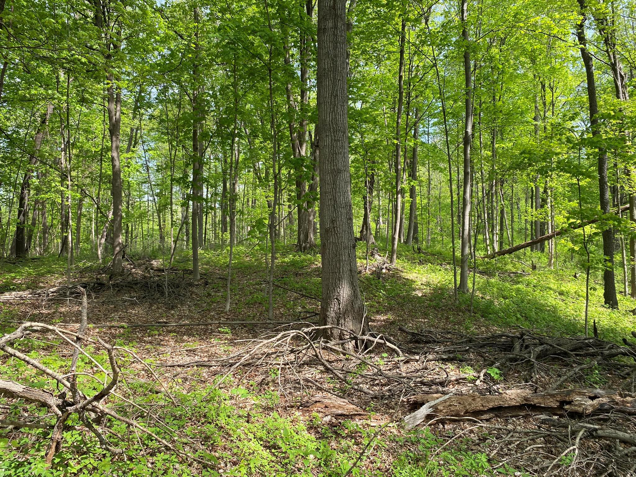 7080 Route 9, Rhinebeck, New York image 28