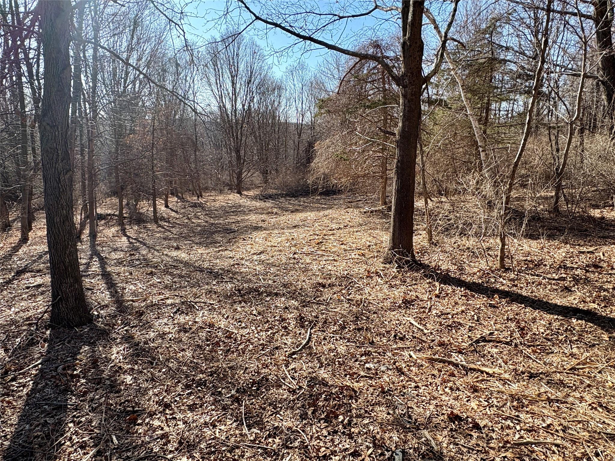 00 Route 7, Copake, New York image 11