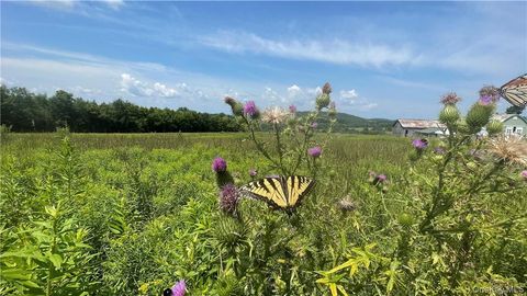 Vacant Land For Sale - Beechwoods Road<br/> Sullivan County, Callicoon, NY 12723