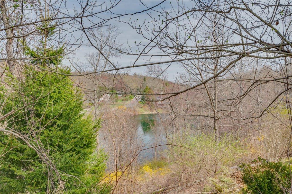 403 Saw Mill River Road, Millwood, New York image 4