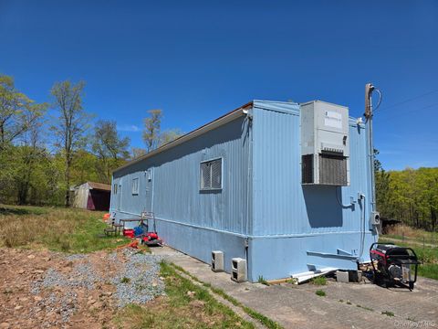 Mobile Home For Sale - 353 Henderson Road<br/> Sullivan County, Fremont Center, NY 12736