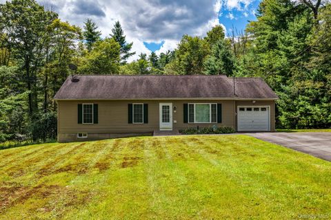 9 W Peenpack Trail Sparrowbush NY 12780