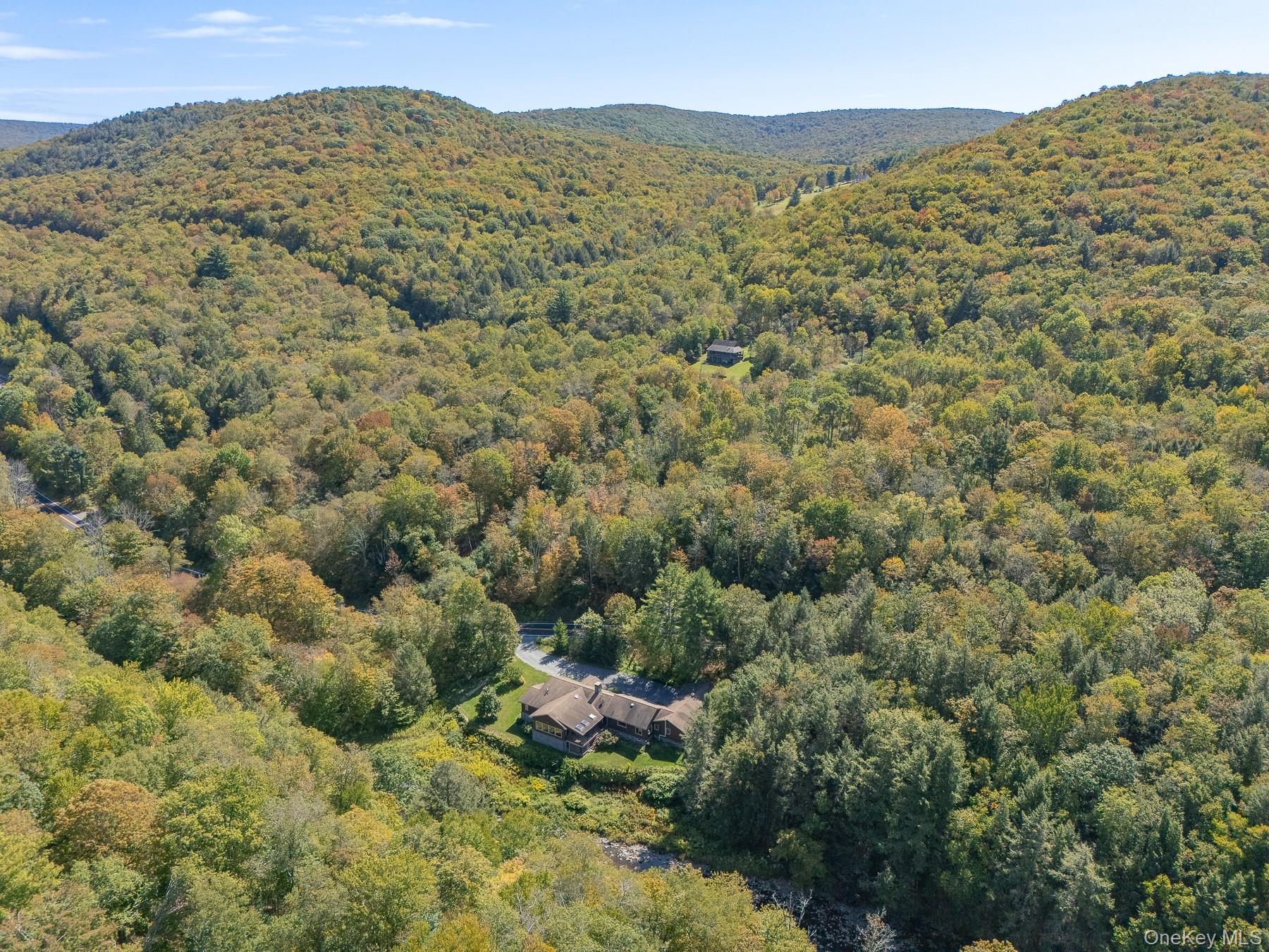 1009 Beaverkill Road