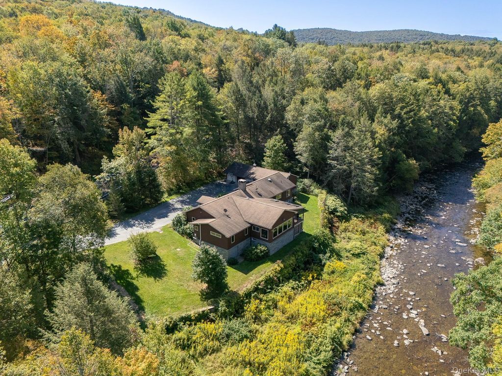 Photo of 1009 Beaverkill Road, Livingston Manor, NY 12758 (MLS # 920764)