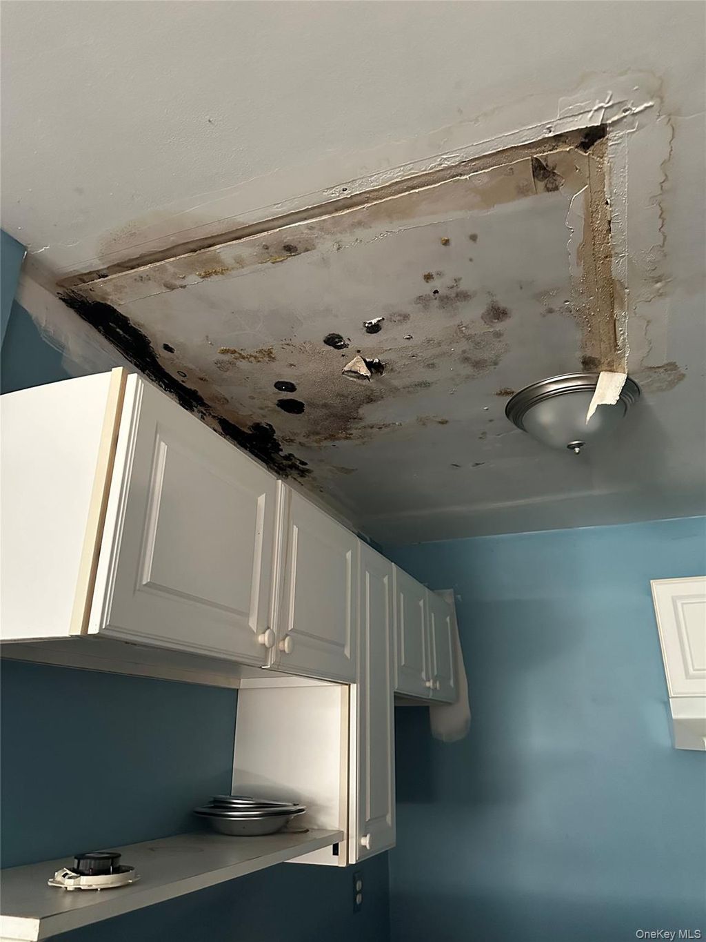 Photo of 11 Taurgo Lane, Centereach, NY 11720 (MLS # 951933)