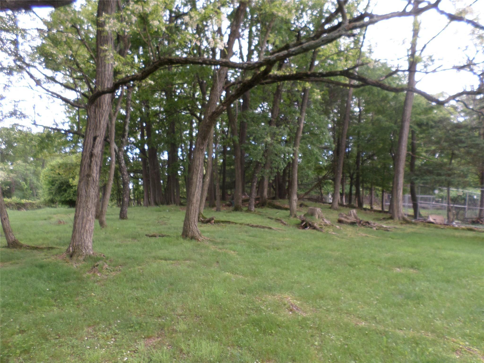 17 Johanna Lane, Monsey, New York image 29