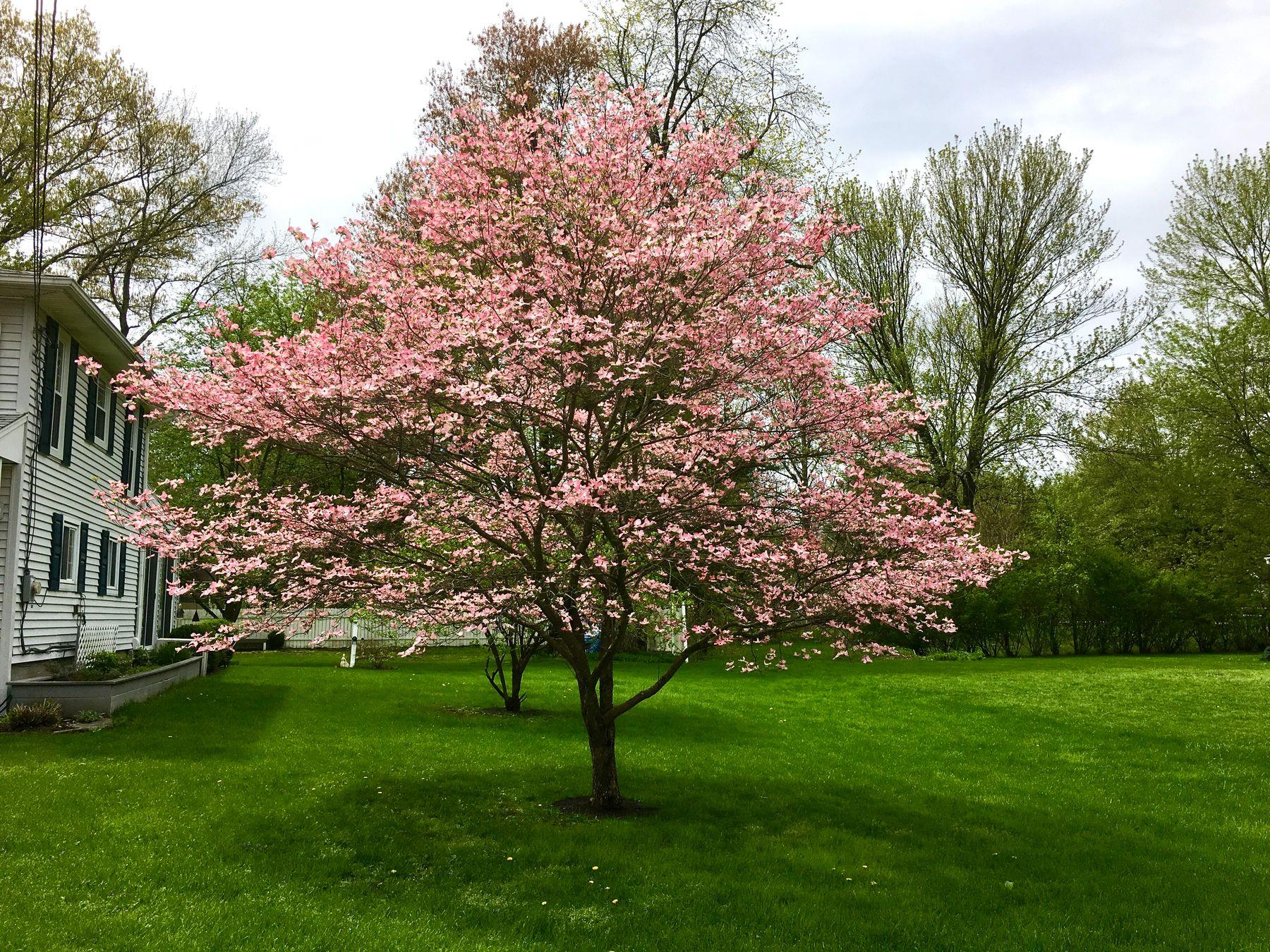 20 Mary Avenue, Lake Katrine, New York image 33