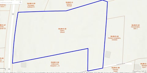 Vacant Land For Sale - L-15 State Route 32<br/> Greenville, NY 12083