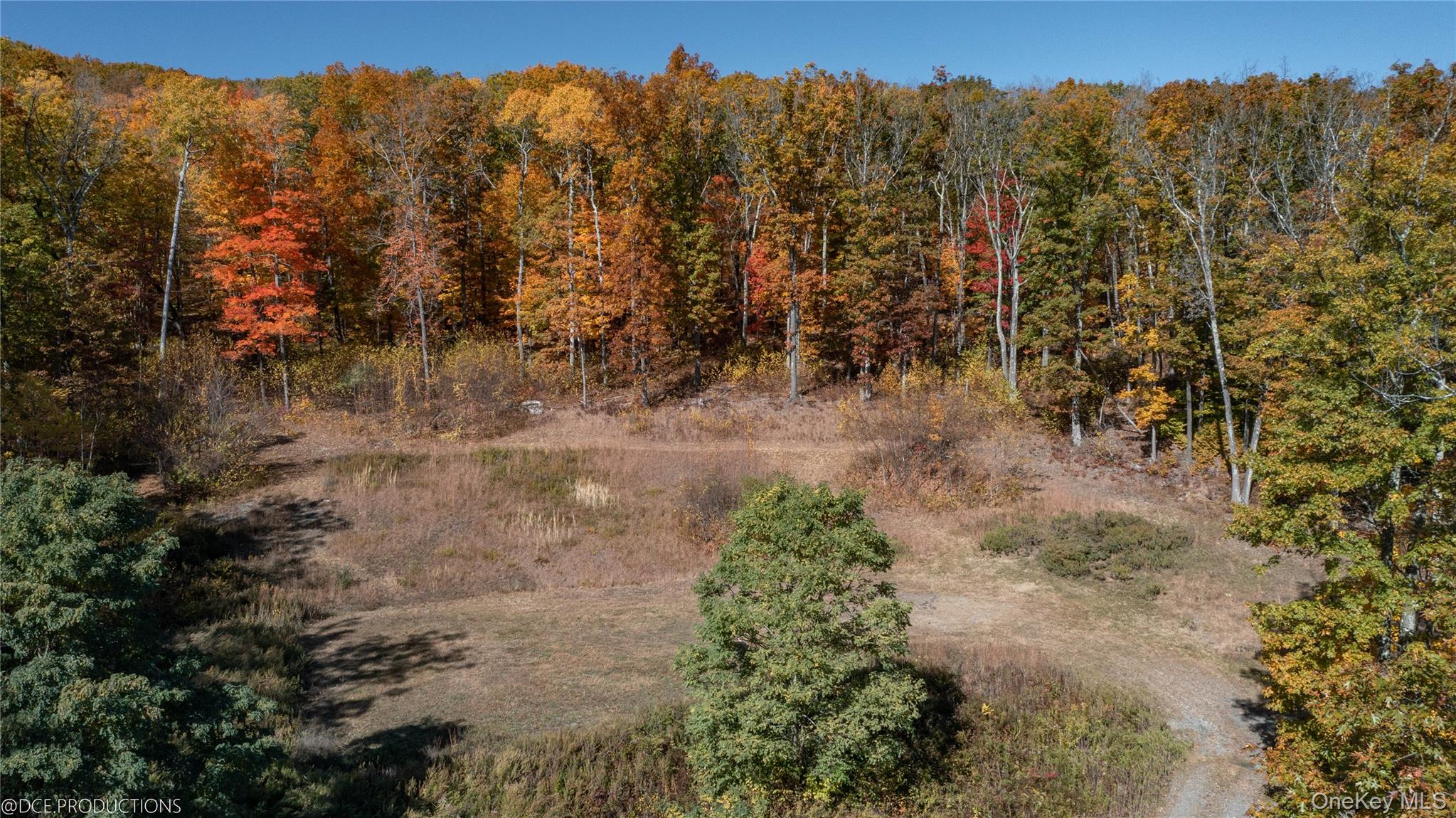 Amenia, New York 12501, United States, 4 Bedrooms Bedrooms, ,5 BathroomsBathrooms,Residential,Active,87150