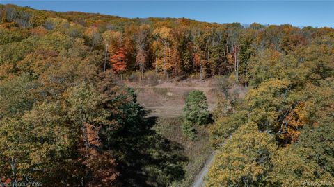 Tiny photo for "Cascade House" Cascade Mountain Road, Amenia, NY 12501 (MLS # 832285)