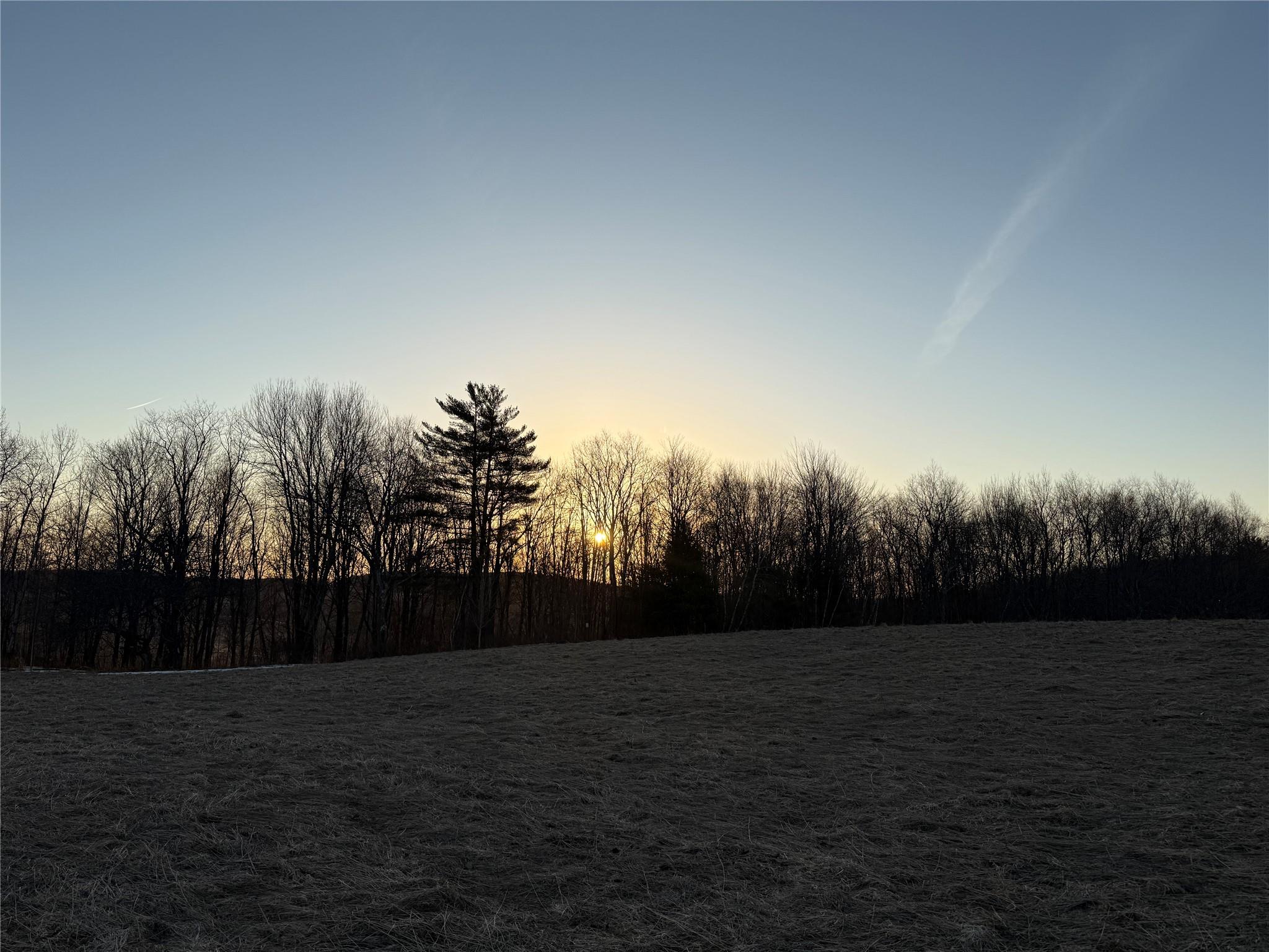 2182 Snake Hill Road, Franklin, New York image 2
