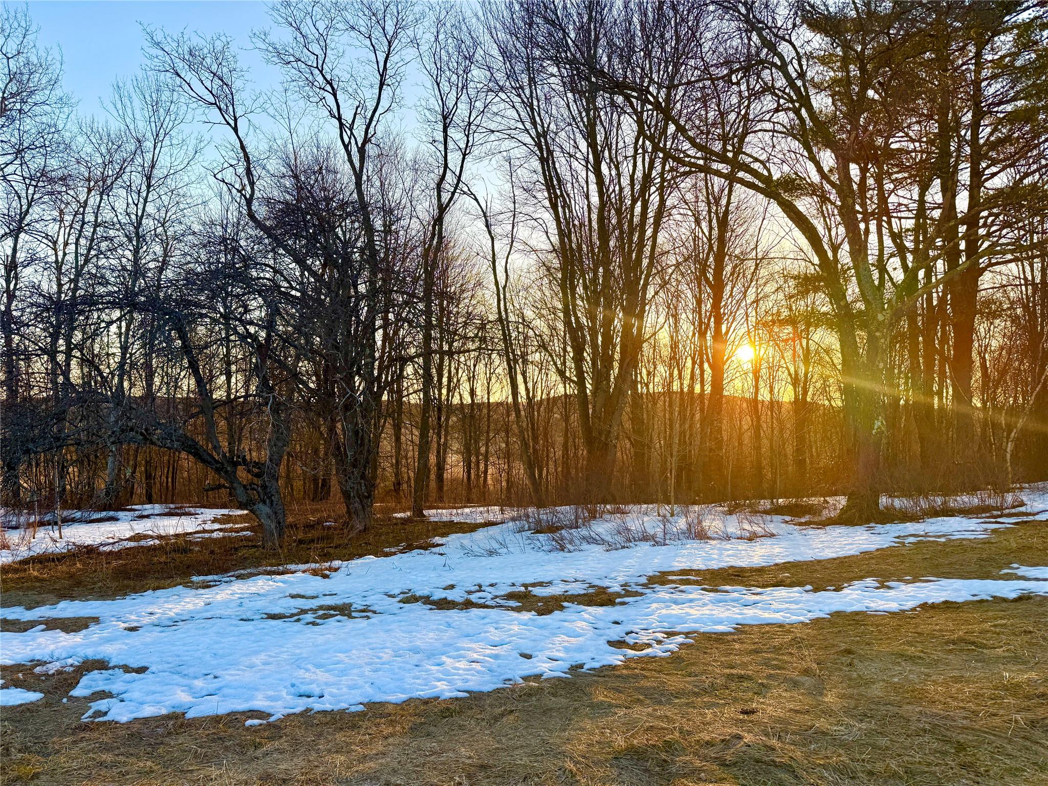 2182 Snake Hill Road, Franklin, New York image 4