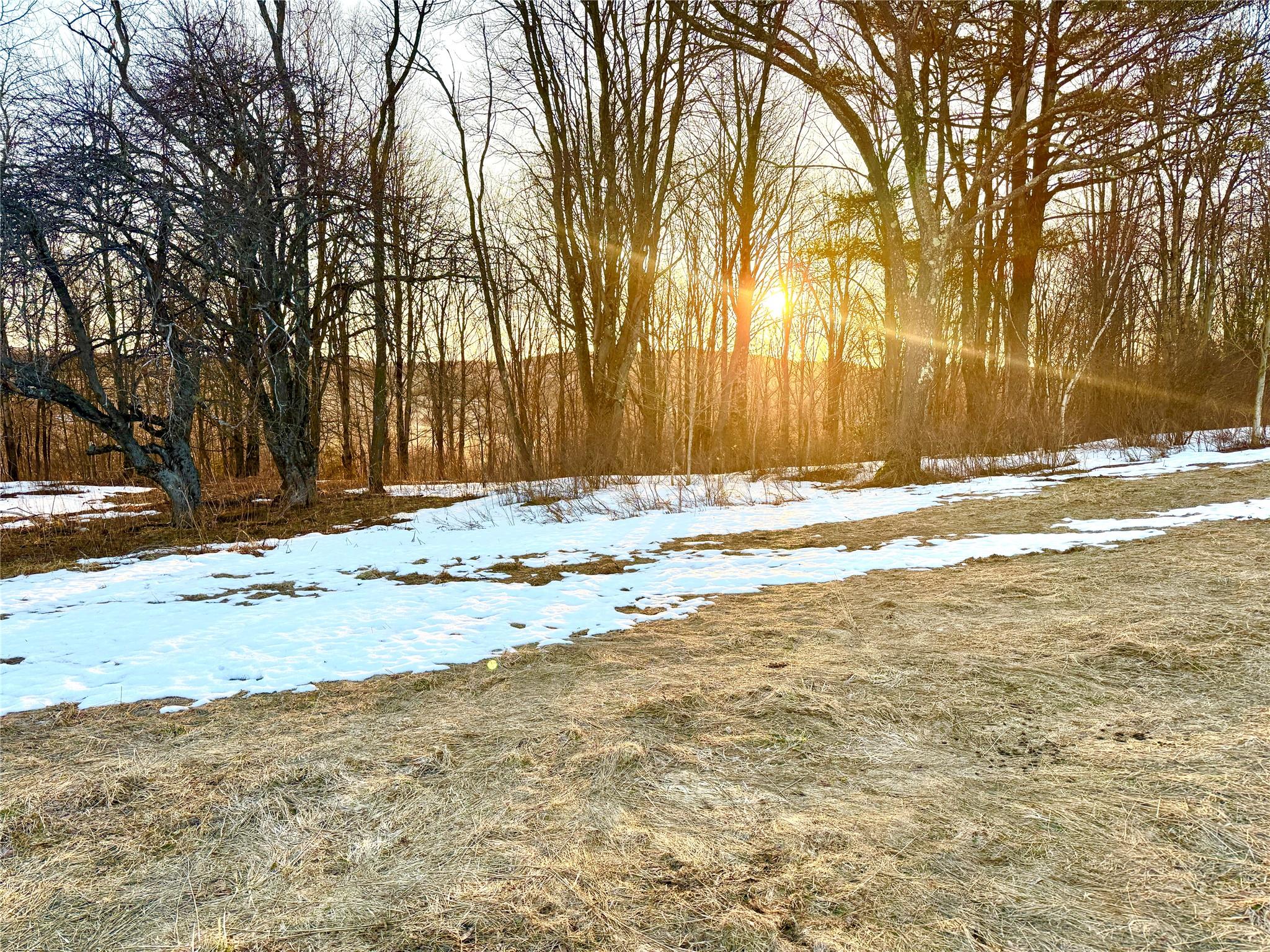 2182 Snake Hill Road, Franklin, New York image 7