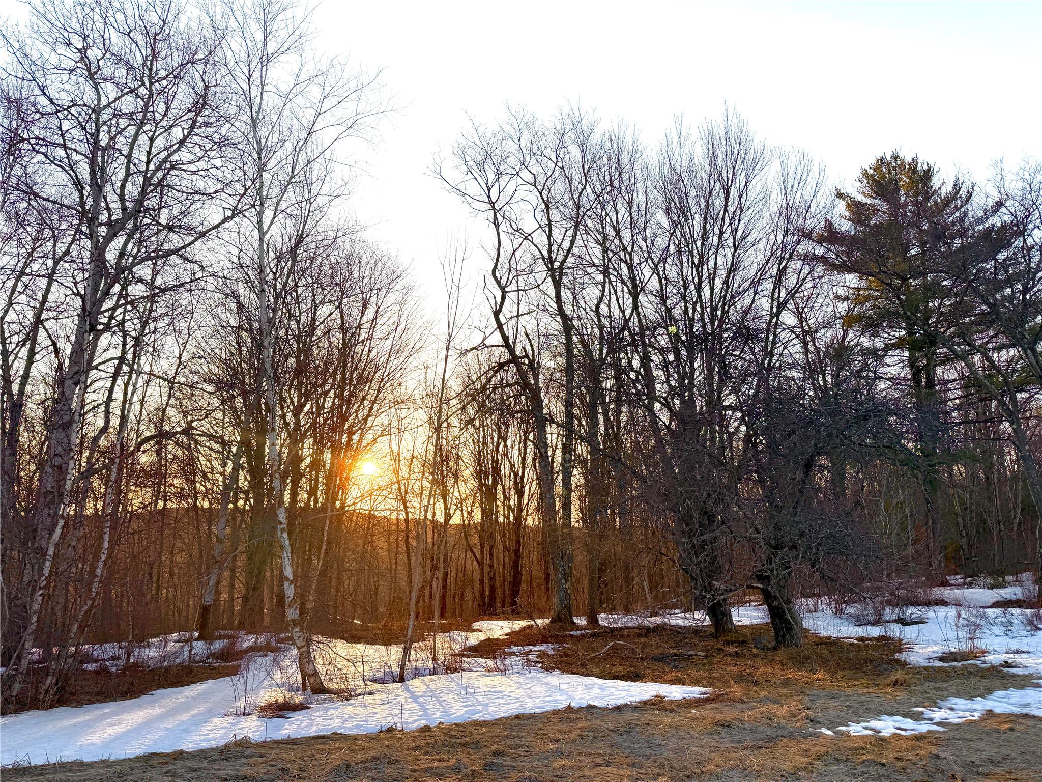 2182 Snake Hill Road, Franklin, New York image 8