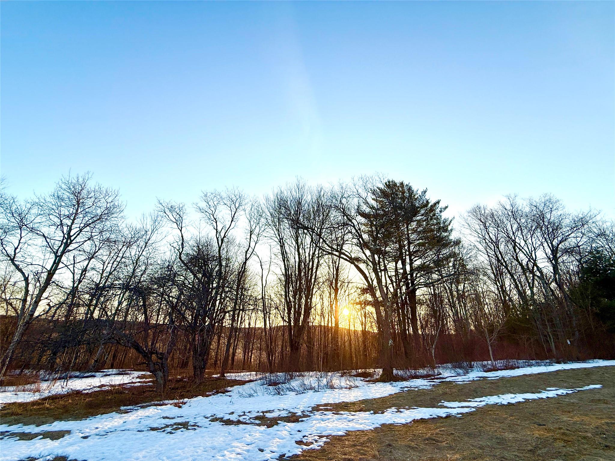2182 Snake Hill Road, Franklin, New York image 5
