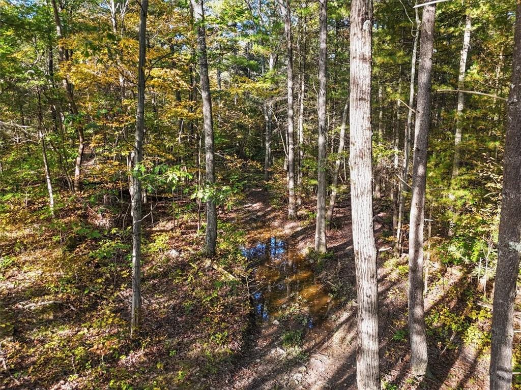 4888 Albany Post Road, Staatsburg, New York image 16