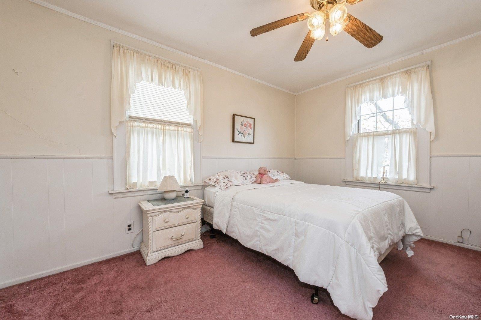 66 Princeton Street, Williston Park, New York image 16