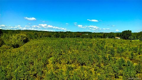 Vacant Land For Sale - 00 N Vernon<br/> Greene County, Athens, NY 12015
