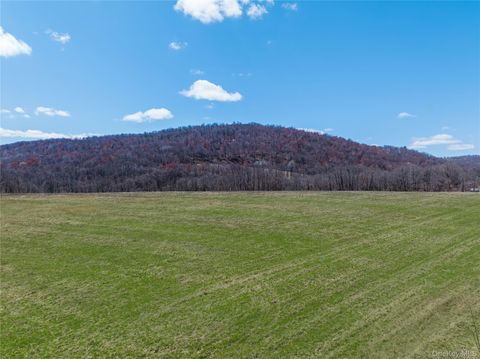 Vacant Land For Sale - LOT # 8 Mcghee Hill Road<br/> Millerton, NY 12546