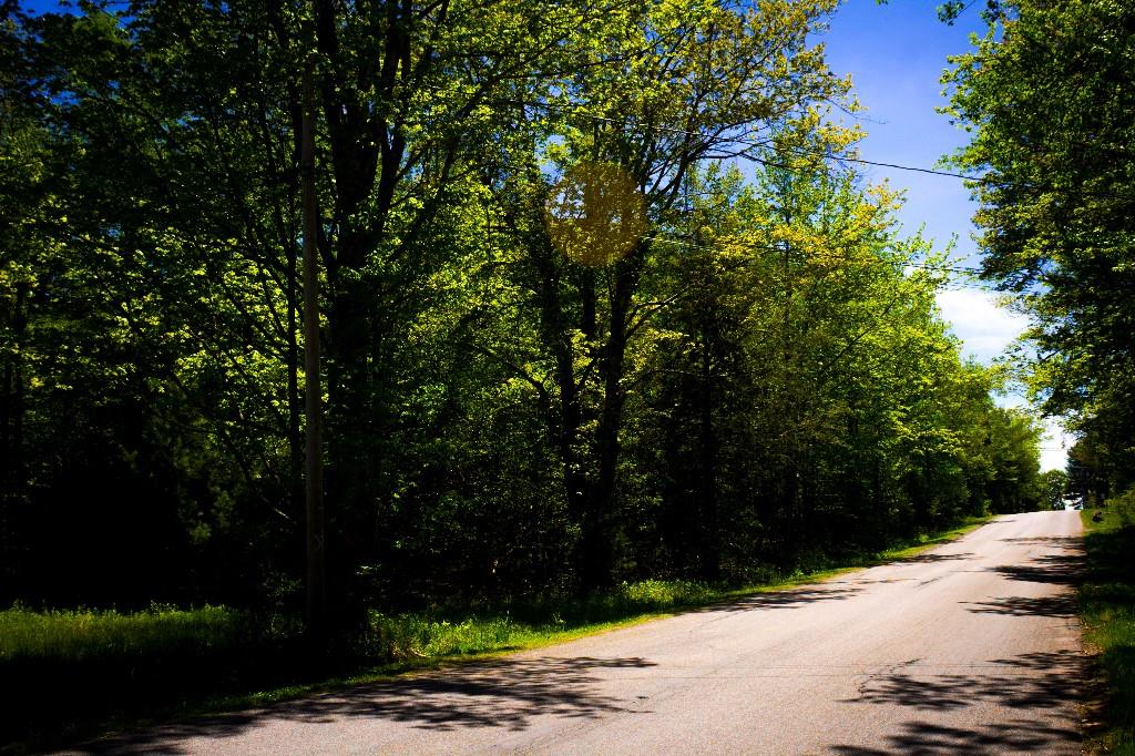 Hasbrouck A Road, Loch Sheldrake, New York image 15