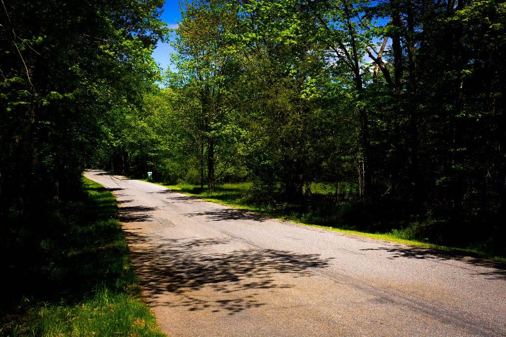 Hasbrouck A Road, Loch Sheldrake, New York image 12