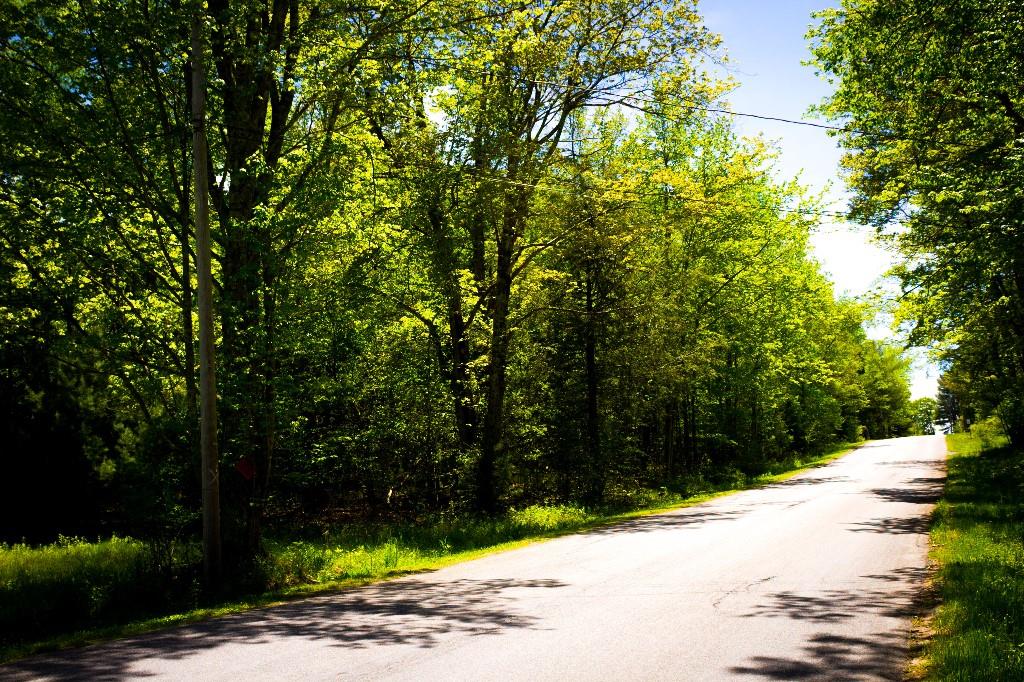 Hasbrouck A Road, Loch Sheldrake, New York image 11