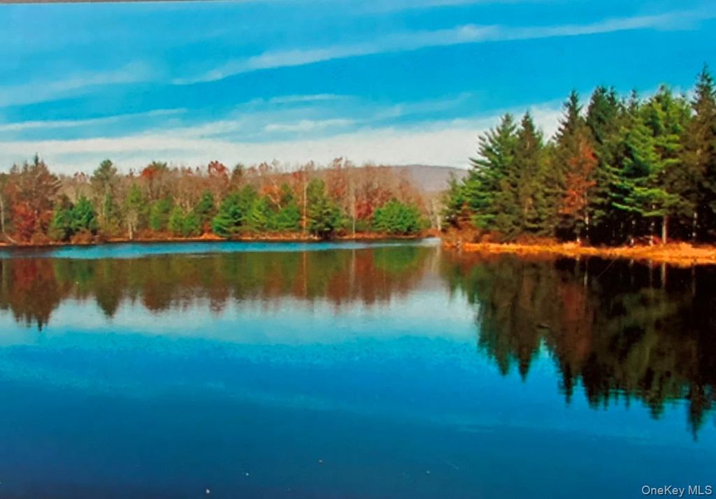 Photo of 50 Meghan Court, Pine Bush, NY 12566 (MLS # 961139)