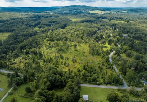 Vacant Land For Sale - Camby Road<br/> Dutchess County, Millbrook, NY 12545