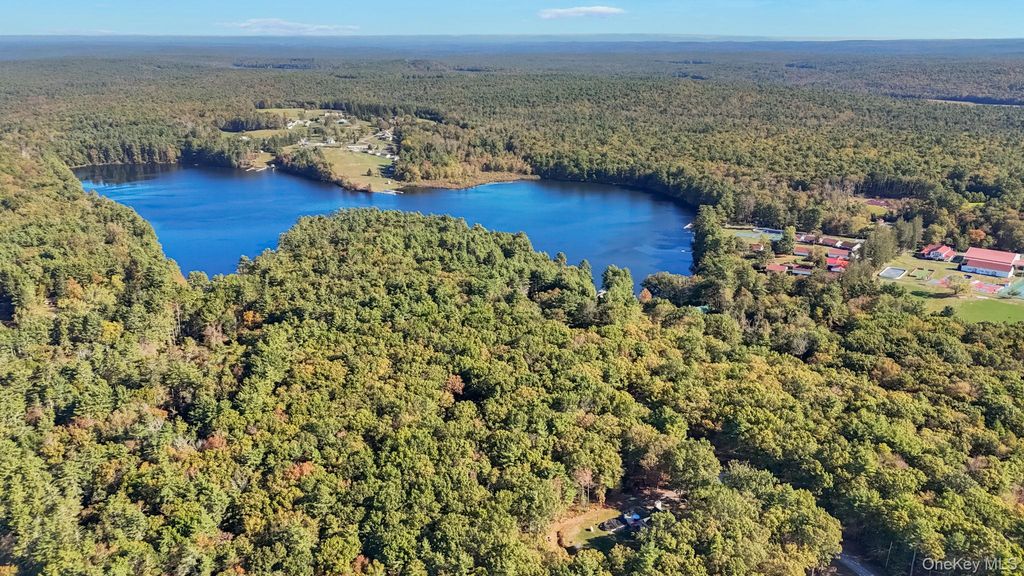 Photo of 55 Ozeriany Road, Barryville, NY 12719 (MLS # 920945)