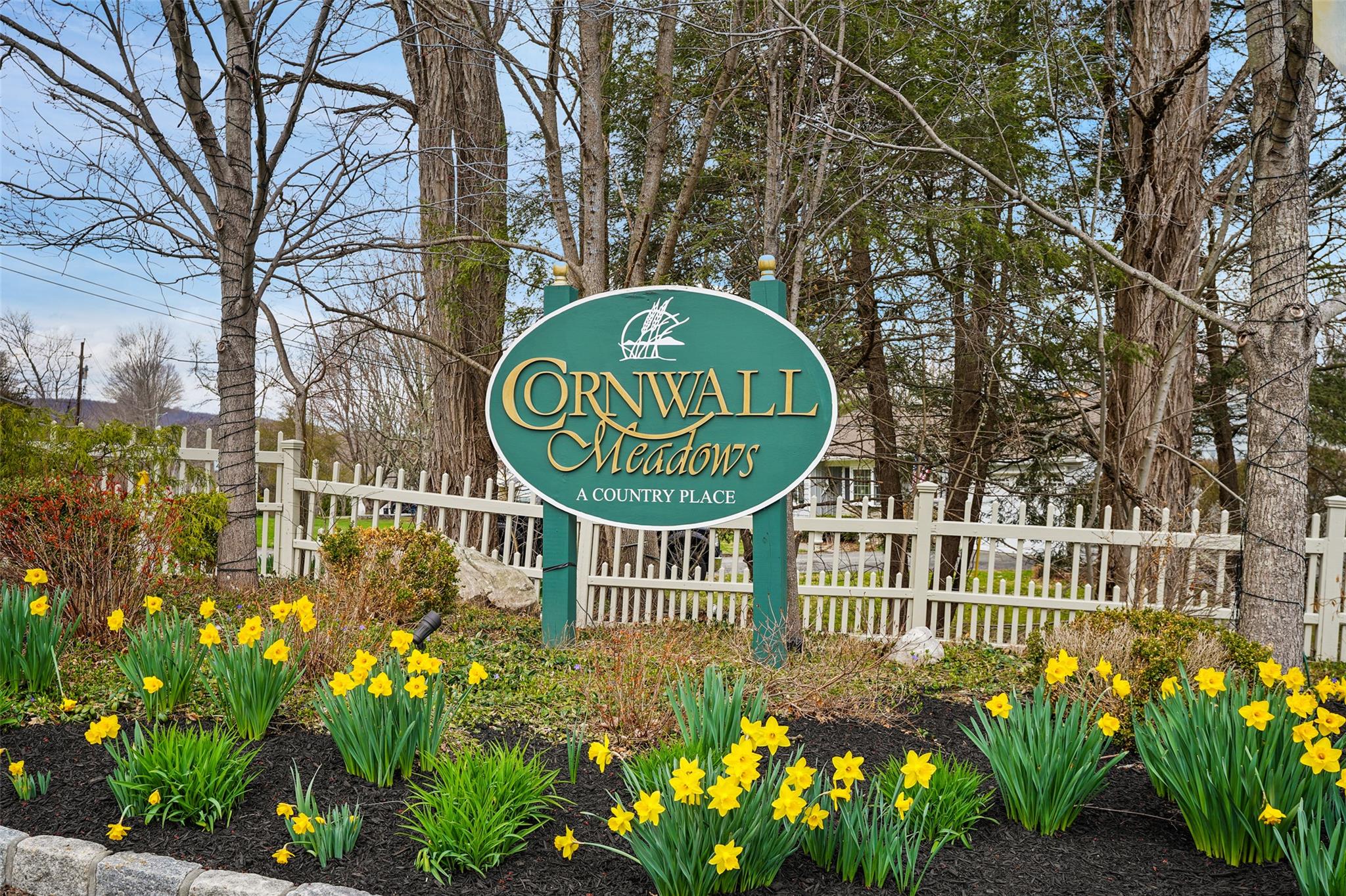 301 Cornwall Meadows, Patterson, New York image 32