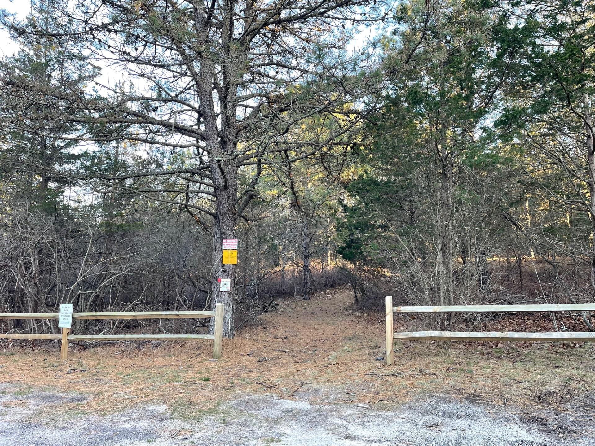 354 St Andrews Road, Southampton, New York image 23