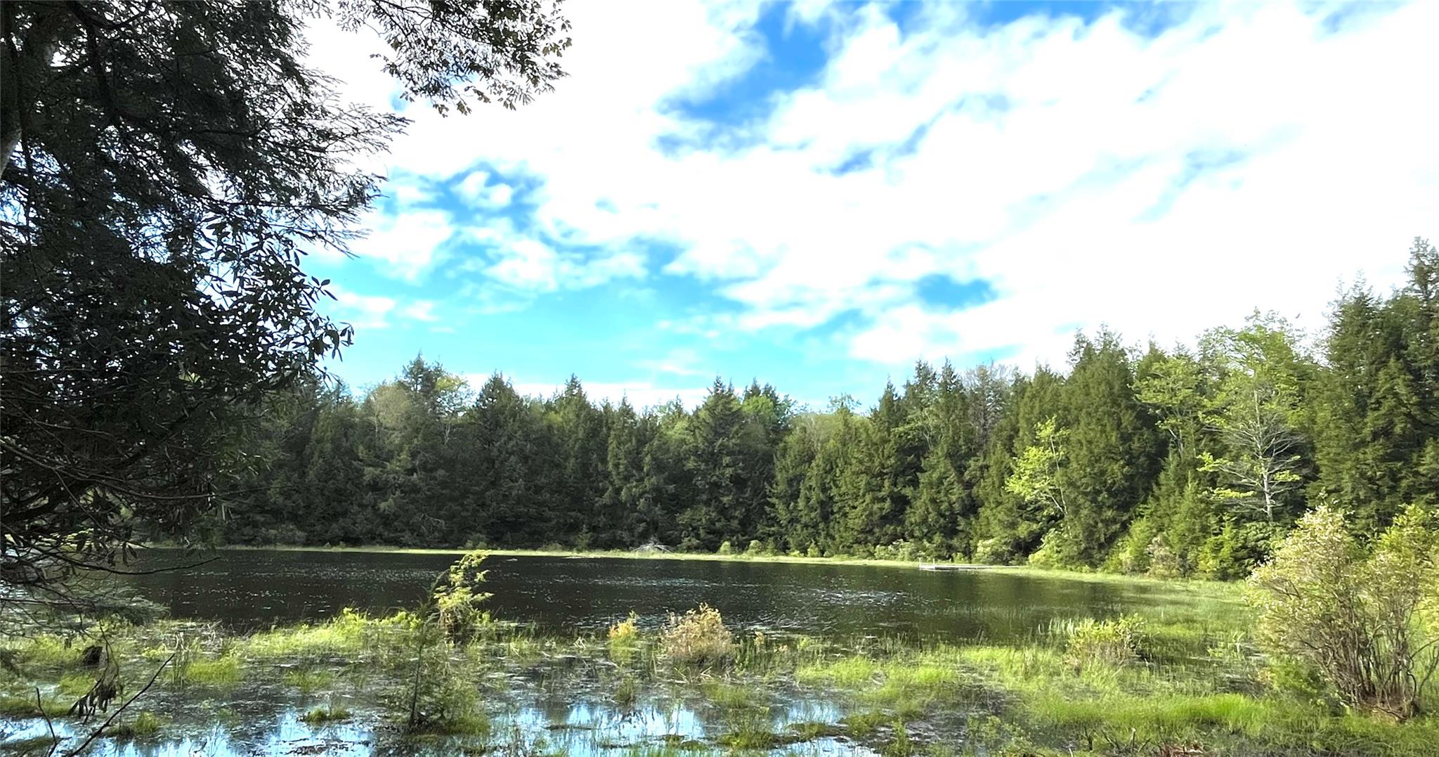47 Eagles Ridge Way, Parksville, New York image 8