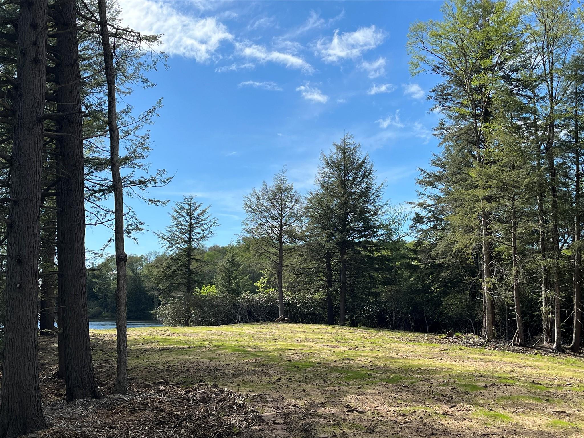 47 Eagles Ridge Way, Parksville, New York image 20