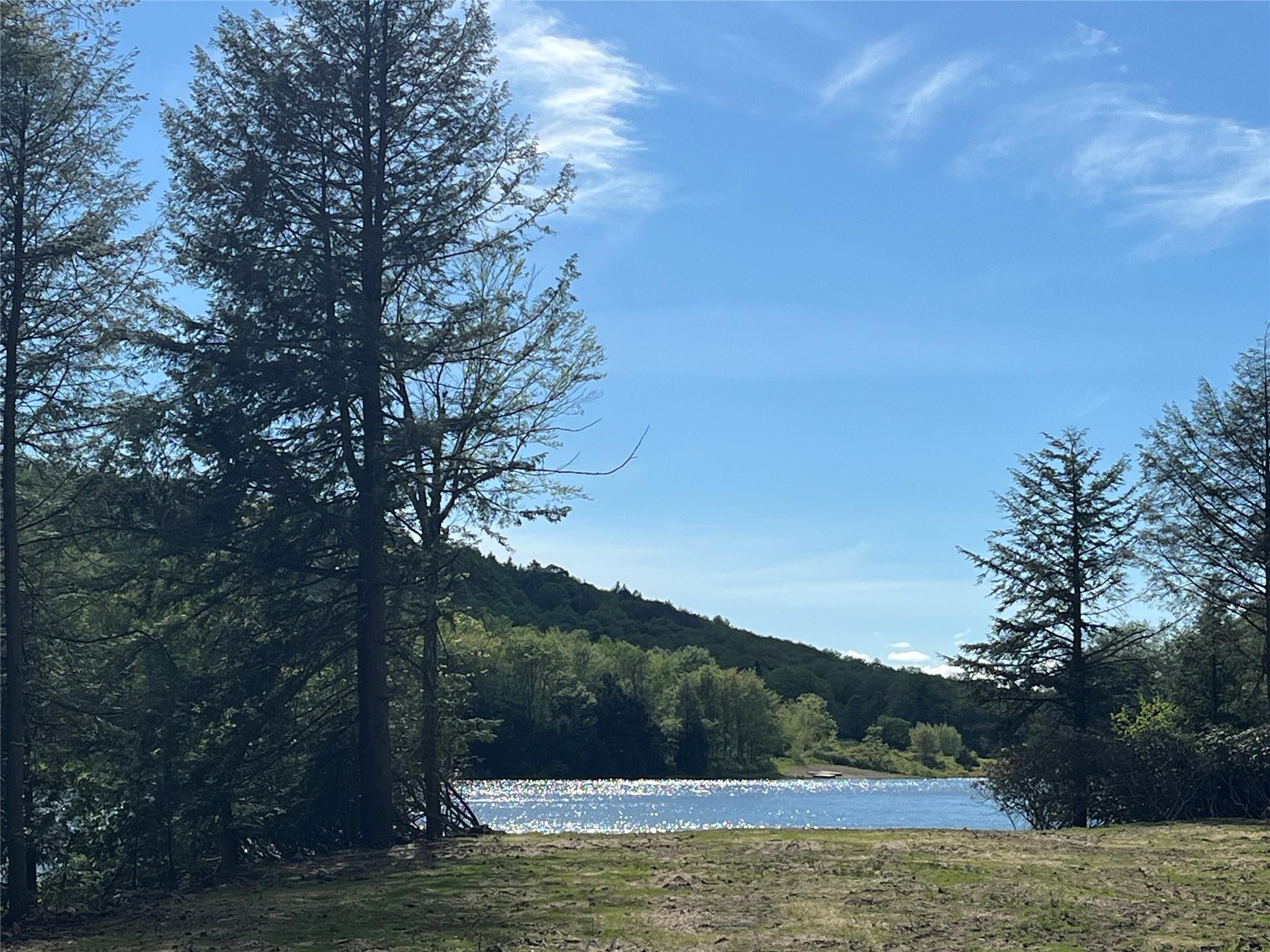 47 Eagles Ridge Way, Parksville, New York image 6