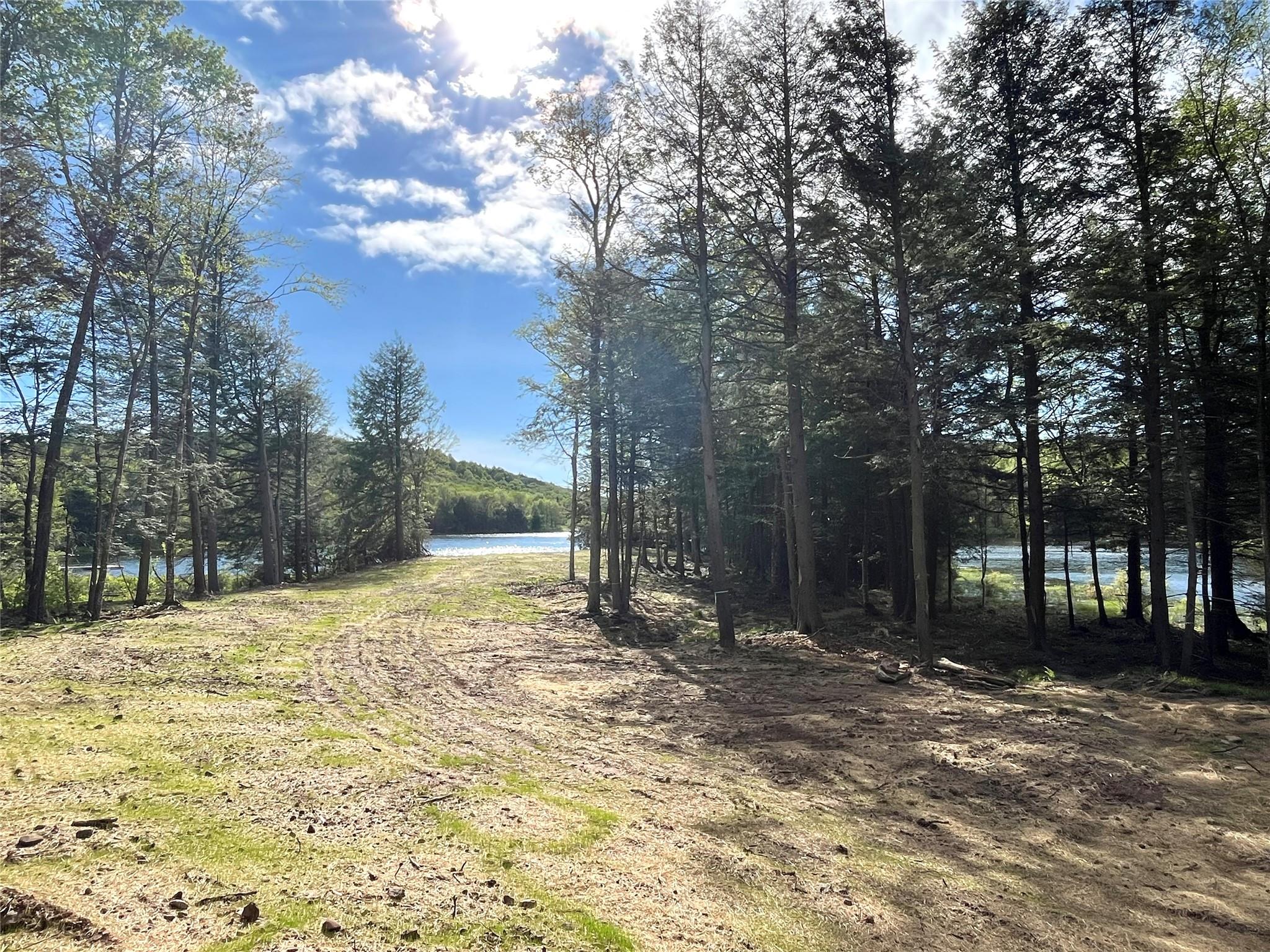 47 Eagles Ridge Way, Parksville, New York image 13
