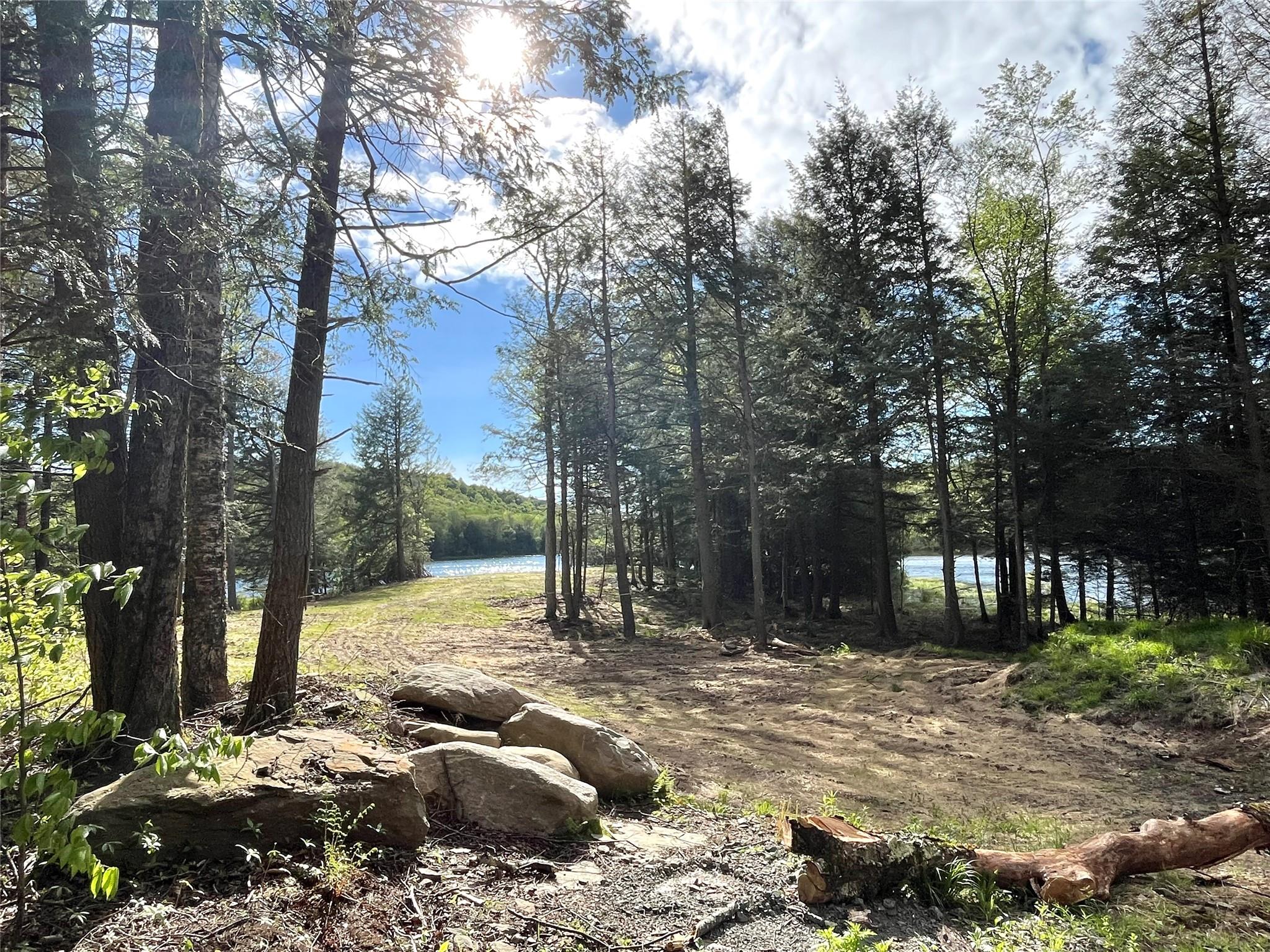47 Eagles Ridge Way, Parksville, New York image 12