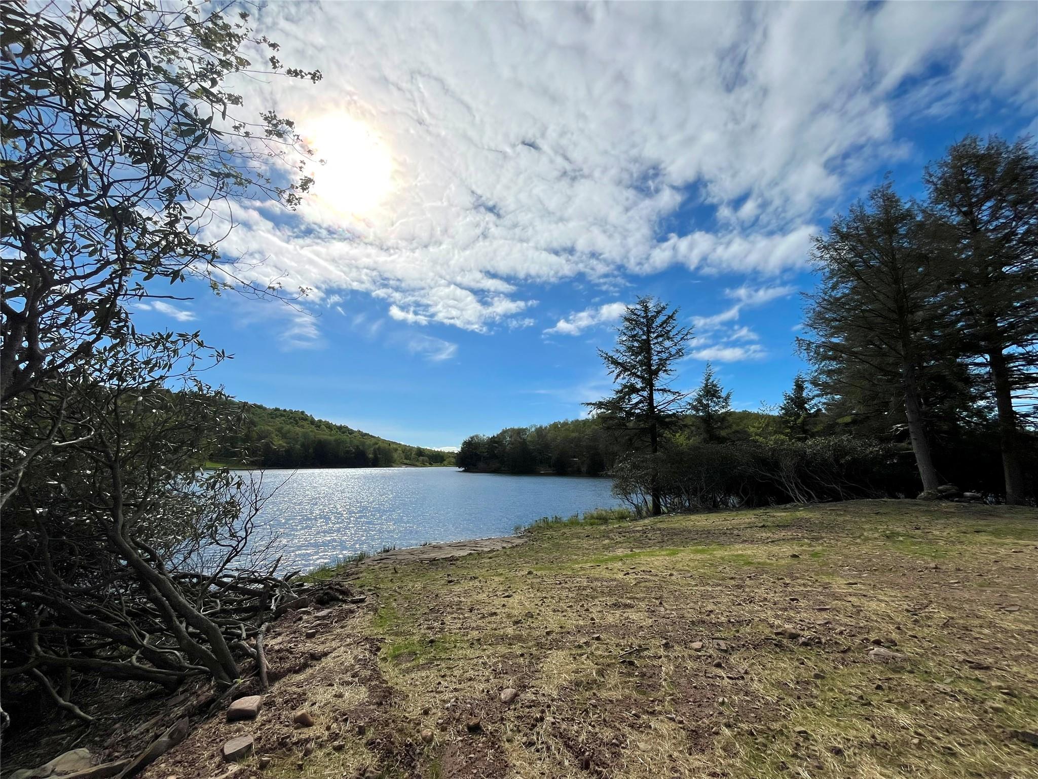 47 Eagles Ridge Way, Parksville, New York image 1
