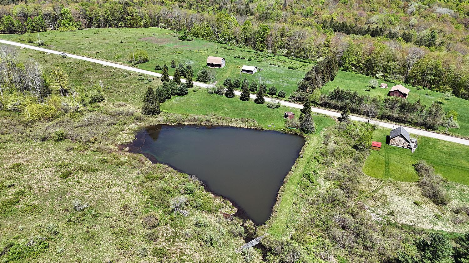 3392 Eminence Road, Hancock, New York image 8