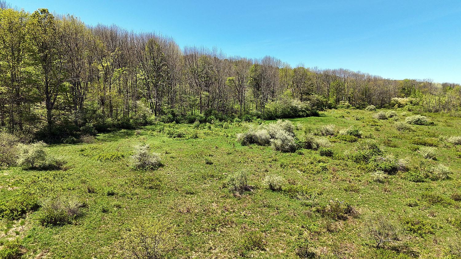 3392 Eminence Road, Hancock, New York image 33