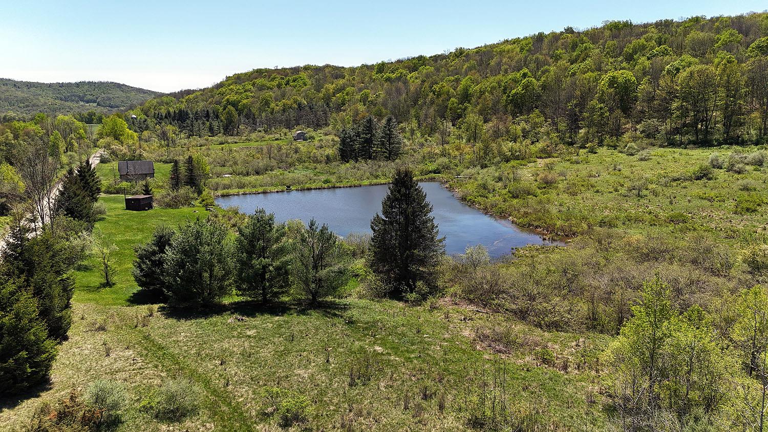 3392 Eminence Road, Hancock, New York image 3