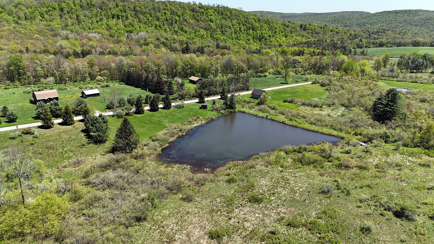 3392 Eminence Road, Hancock, New York image 15