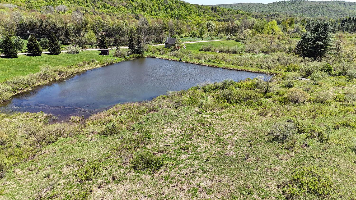 3392 Eminence Road, Hancock, New York image 16