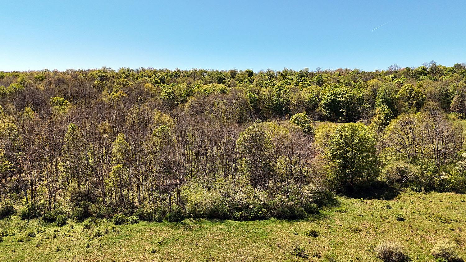 3392 Eminence Road, Hancock, New York image 12