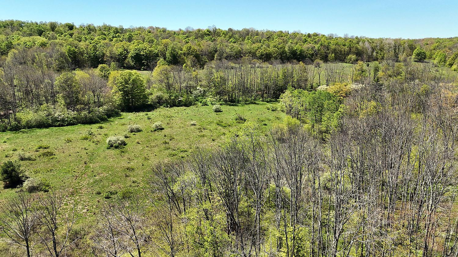 3392 Eminence Road, Hancock, New York image 5