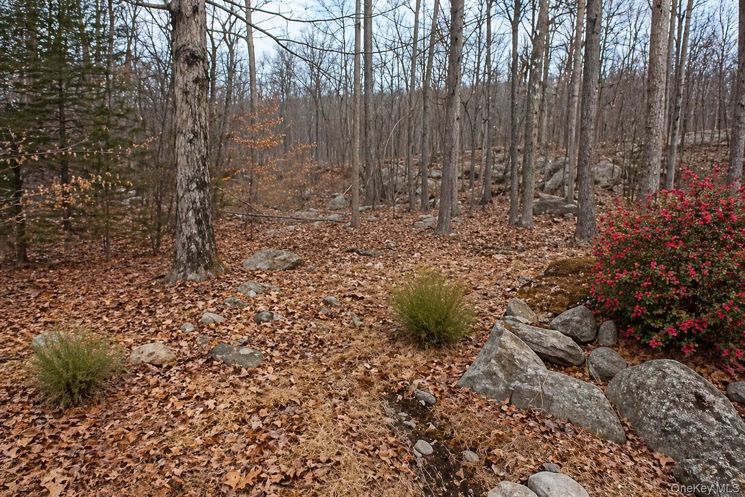 59 Furnace Trail