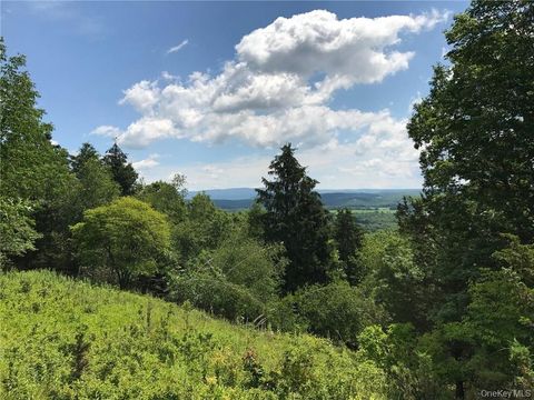 Vacant Land For Sale - County Rte. 7<br/> Columbia County, Ancram, NY 12567