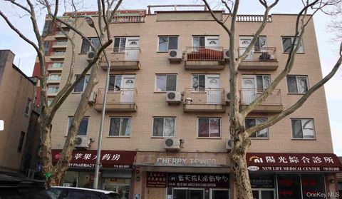 134-40 Cherry Avenue 4F Flushing NY 11355