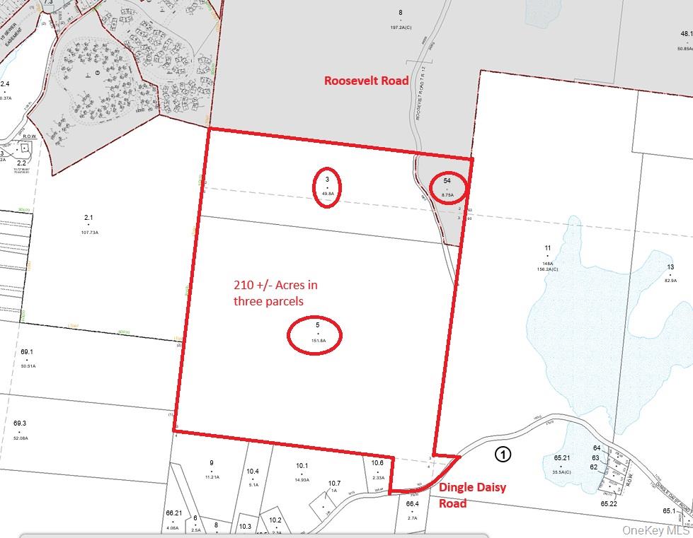 174 Dingle Daisy Road